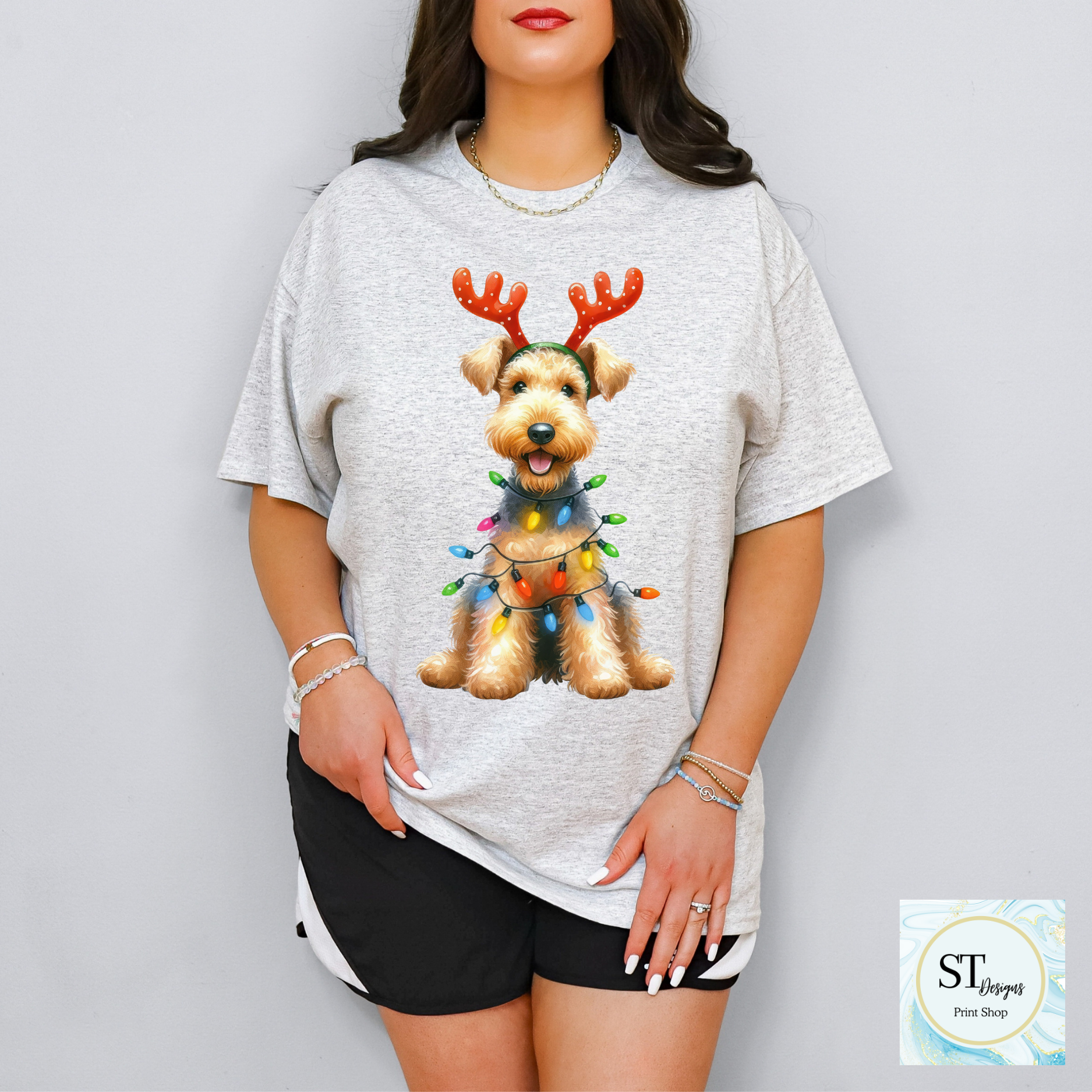 Airedale Terrier Christmas