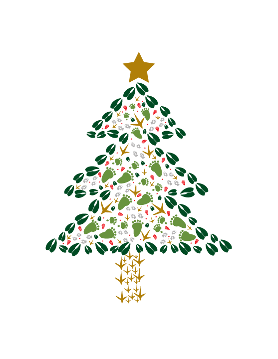 Christmas Tree Christmas Cards